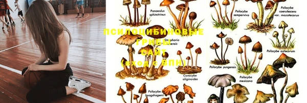 марки nbome Аркадак
