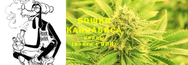 spice Армянск